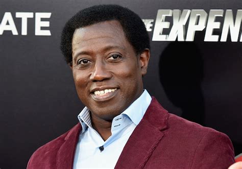 Pilot Scoop Wesley Snipes Joins Nbcs Endgame Thriller Tvline