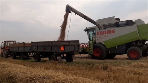 Żniwa 2022 pszenżyto Claas Lexion 460 w akcji YouTube