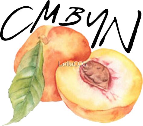 "Call Me By Your Name Peach " Stickers by LeilaCCG | Redbubble