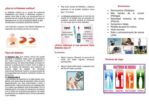 Qué es la Diabetes Mellitus nursing apuntes uDocz