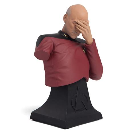 Star Trek Picard Facepalm