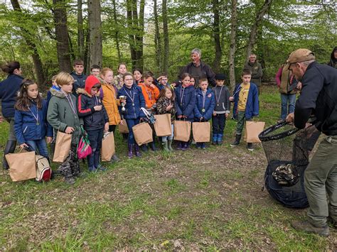 Actu FDC 77 Initiation Pêche à la Ligne au club nature Les P tits Futés de Bréau Fédération