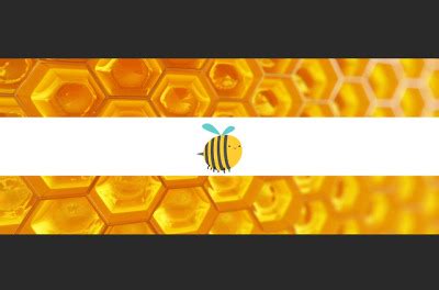 Bee Based Trans Enby And Gay Rainbow Flags Tumbex