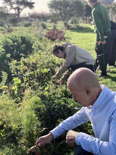 Wecandoo Visitez un potager en permaculture et cuisinez vos légumes