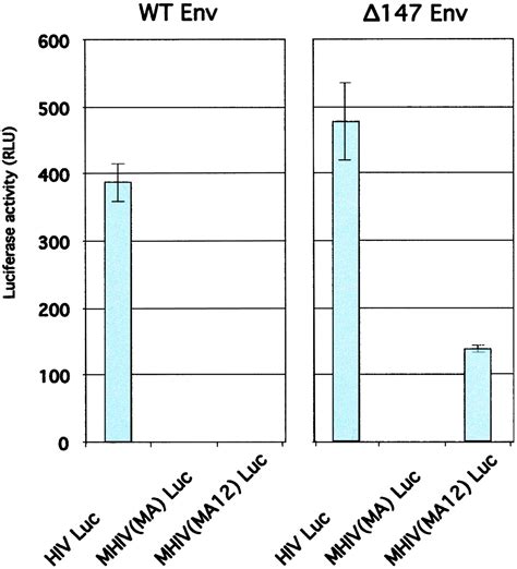 Efficient Assembly Of An HIV 1 MLV Gag Chimeric Virus In Murine Cells