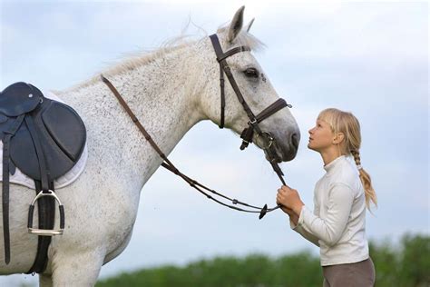 Equine Chiro - Los Alamos Equine Veterinary Services