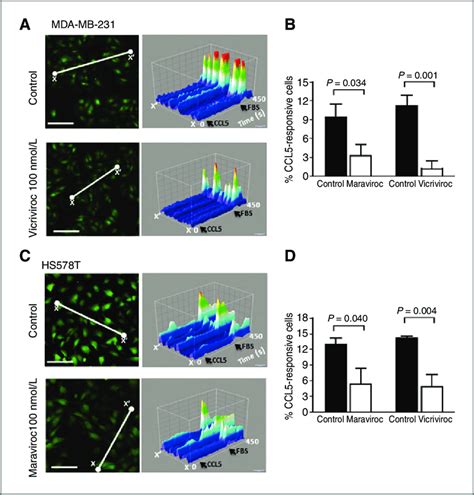 Ccr5 Antagonists Block Ccl5 Induced Calcium Signaling A Intensity