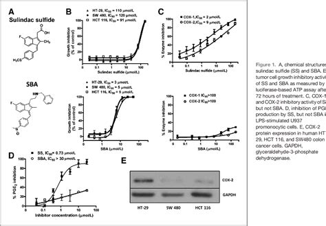 Figure 1 From A Novel Sulindac Derivative That Potently Suppresses