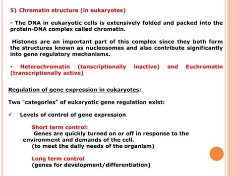 Regulation Of Gene Expression In Eukaryotes PPT