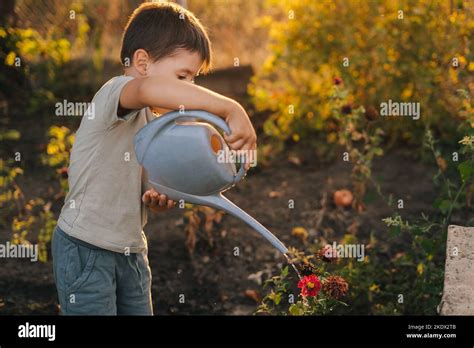 Adorable niño regando plantas con regadera en el jardín ayudando a los