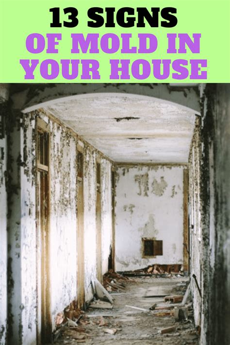 What Are Signs Of Mold In Your House 13 Signs To Look For