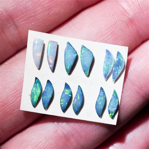 Cts Shell Fossil Pairs Freeform Doublet Opals