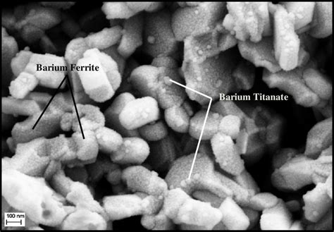 Sem Micrograph Of 1 Xbafe 12 O 19 Xbatio 3 Sample With X 01 Download Scientific Diagram