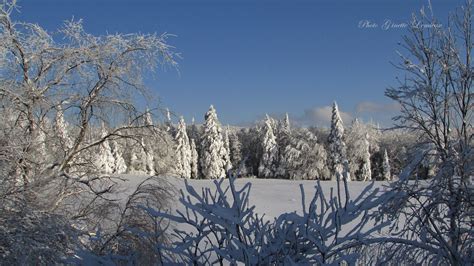 Lendemain de tempête Hiver 2014 Capter un lendemain de t Flickr