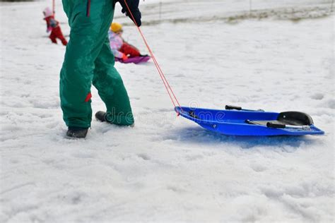 A Children Sledding in the Snow in Winter Stock Image - Image of sled ...