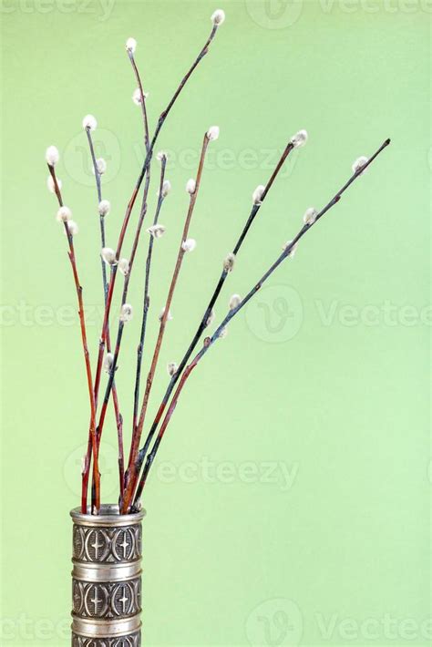 Downy Pussy Willow Twigs In Pewter Jug On Green Stock Photo At Vecteezy