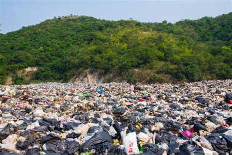 Cómo afecta la CONTAMINACIÓN al medio ambiente - CONSECUENCIAS