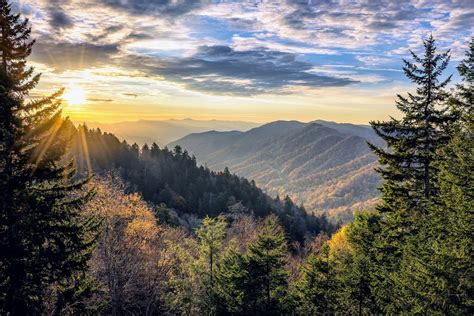 Loss of mountain forests accelerating worldwide - Earth.com