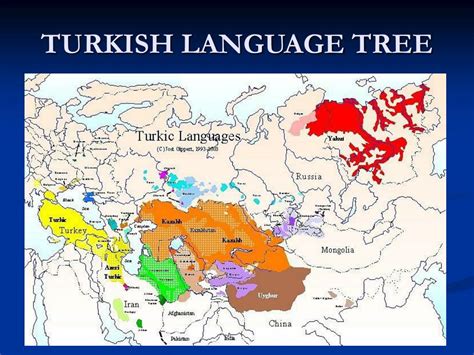 PPT - TURKISH LANGUAGE ORIGINS PowerPoint Presentation, free download - ID:6901947