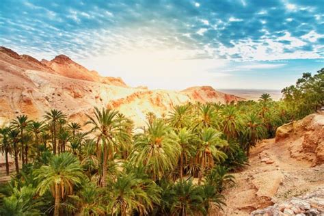 Top 20 Most Beautiful Places To Visit In Tunisia GlobalGrasshopper