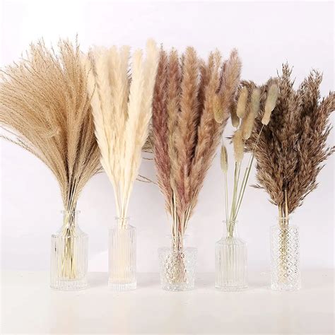 75pcs Natural Pampas Grass Fluffy Reeds Flowers Bouquet Boho Living