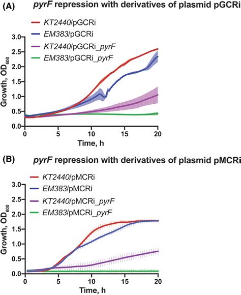 Crispri‐based Targeted Downregulation Of Pyrf Expression In P Putida