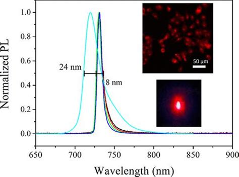 BODIPY Dimers With A Fused And Coplanar Structure Photophysical