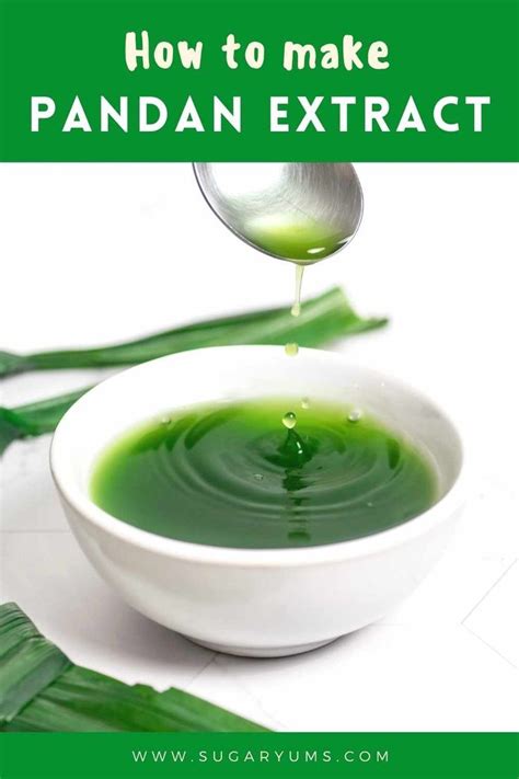 Easy Homemade Pandan Extract Pandan Japanese Dessert Asian Desserts