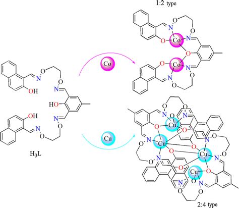 Synthetic Routes To Complexes 1 And 2 Download Scientific Diagram