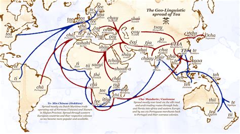 Linguistics of tea : r/etymology