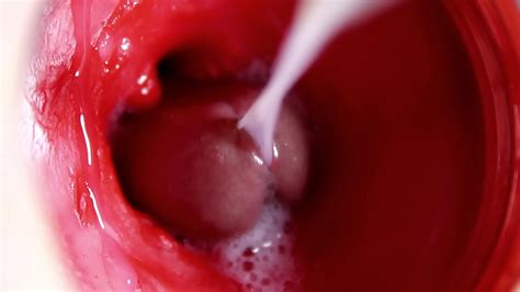 CAMERA INSIDE PUSSY POWERFULL CUM IN PUSSY BEST Internal ASMR In K MORE SPERM XNXX