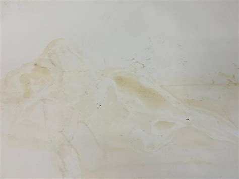French Modernist Reclining Nude Lady Model S French Modernist