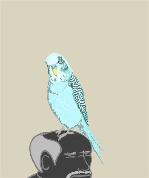 Parm Parm : r/budgieParty