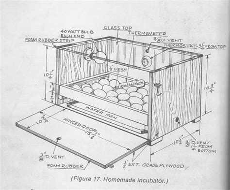 Looking for Egg incubator diy build | Incumaker