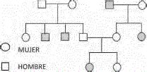 Problemas de genética resueltos de árboles genealógicos