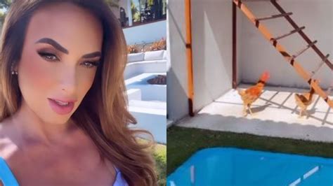 Nicole Bahls Mostra Galinheiro Luxuoso Piscina Em Mans O