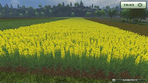 Ls Raps Textur V Texturen Mod F R Landwirtschafts Simulator