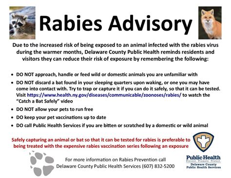 Rabies Public Health