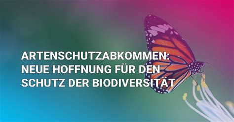 Biodiversit T Sch Tzen Ein Hoffnungsschimmer Partei Der Humanisten