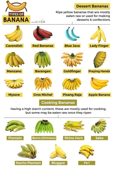 19 Types Of Bananas And What To Do With Them Only Foods