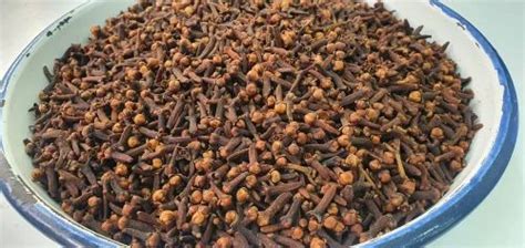 Indian Brown Whole Dry Clove At Rs 850 Kg In Jaipur ID 27380247388