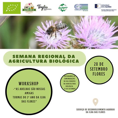 Portal Da Agricultura Dos A Ores Workshop As Abelhas S O Nossas