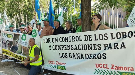 Indignación entre ganaderos madrileños con el voto negativo de España a