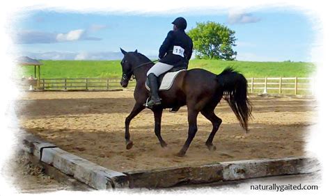 Gaited Dressage At St George Naturally Gaited Horse