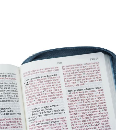 Santa Biblia NVI Letra Grande Compacta Con Cierre Cuero Ecologico