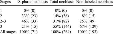 Distribution Of The Various Neoblast Stages After A 30 Min BrdU Pulse