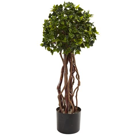 25ft Potted English Ivy Topiary Michaels