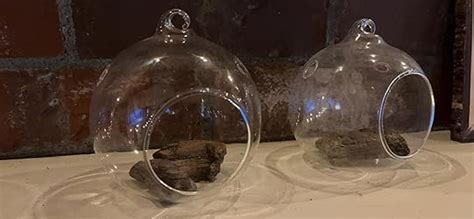 Set Of 6 Hanging Glass Globe Plant Terrariums Orbs Air Plant Tea Light Candle