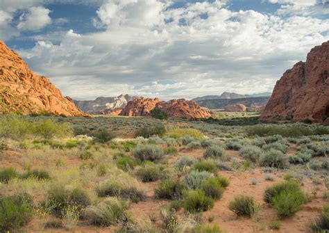 Utah Desert Sunrise | Rick Bolin | Flickr