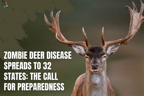 Zombie Deer Disease Spreads To 32 States: The Call For Preparedness ...